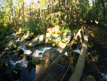 Lower Mt. Cammerer Trail